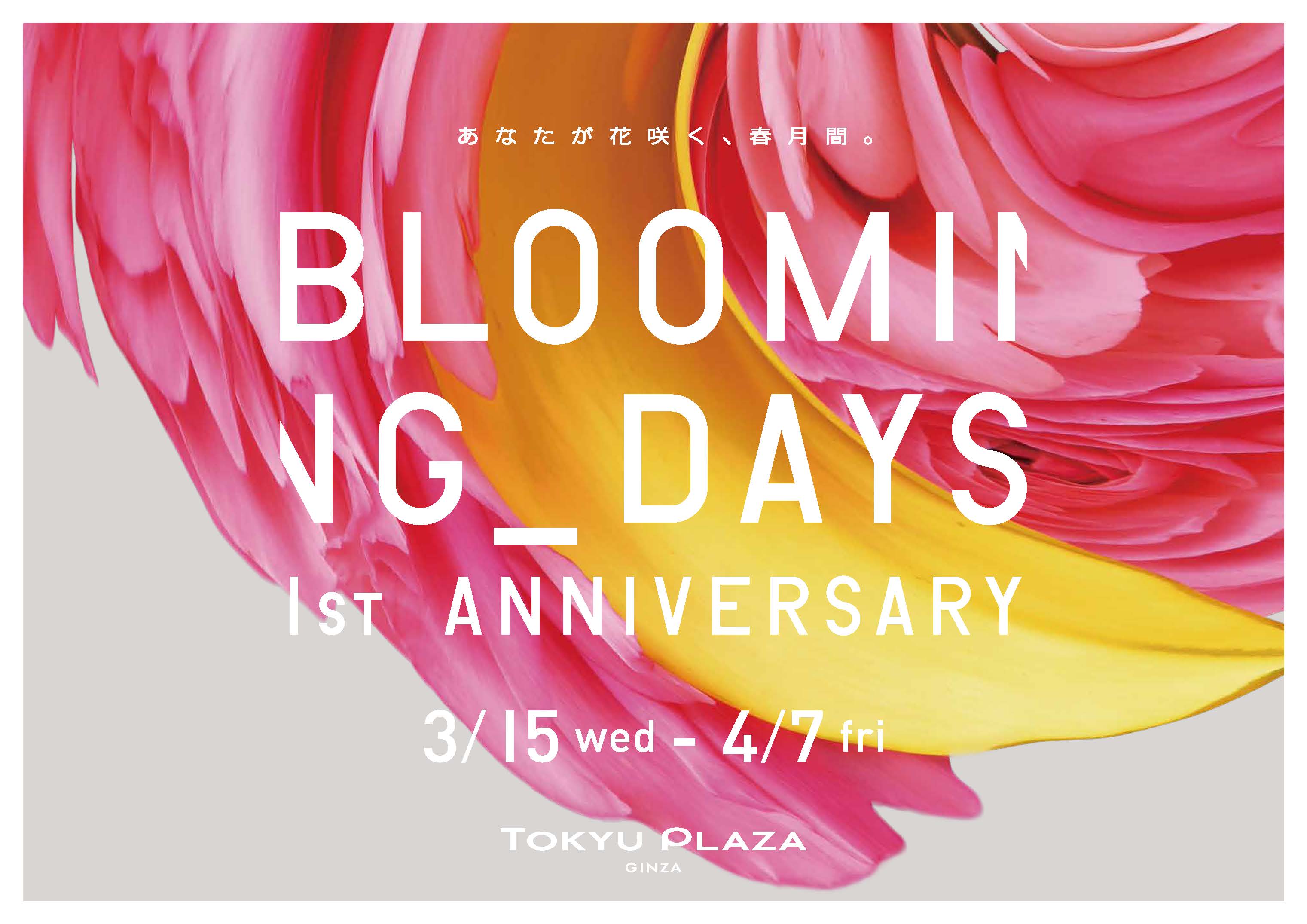 Tokyu Plaza Ginza Launches Campaign 1 Year Anniversary Campaign Spring Is Celebrating The 1st Anniversary Of Blooming Days 1st Anniversary Develops Events And Special Projects On The Theme Of Bloom Kokosil Ginza