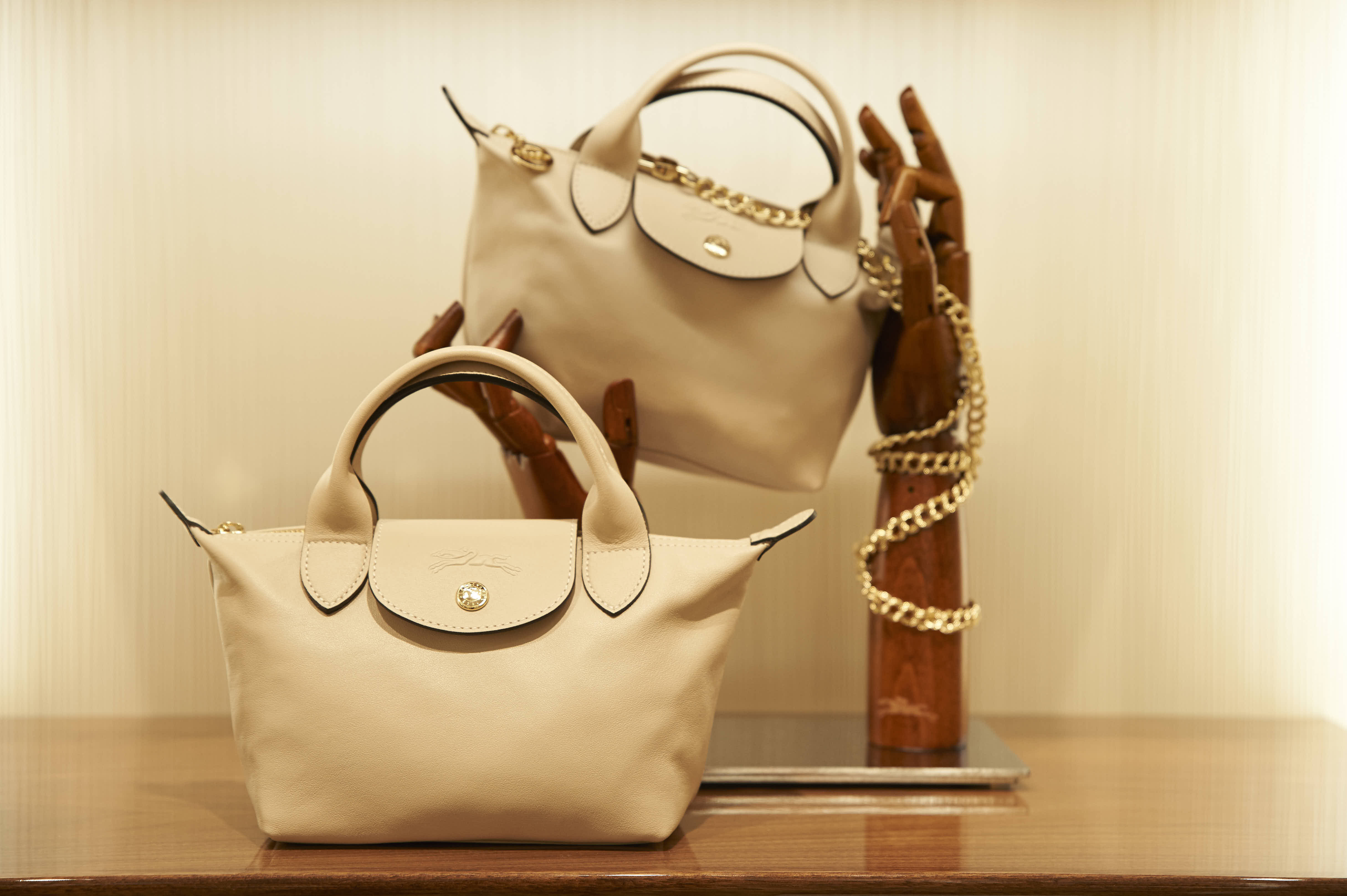 Longchamp bag 2025 2019 collection